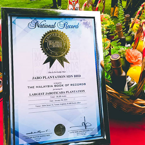 Awarded the Largest Jaboticaba Plantation by the Malaysia Book of Records