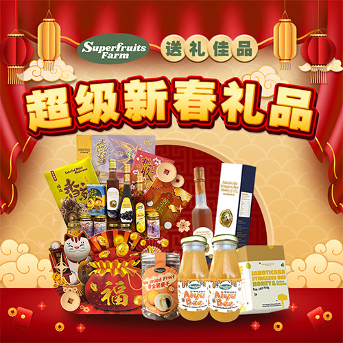 Luxury CNY Hamper Package 2025